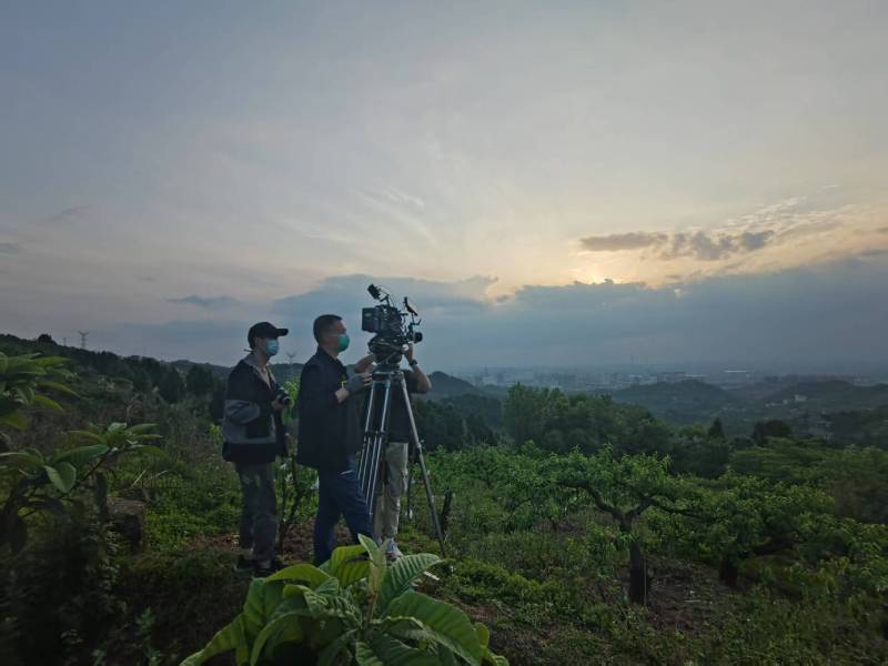 创意破圈！广昌县电商产品宣传视频用故事化叙事引爆流量