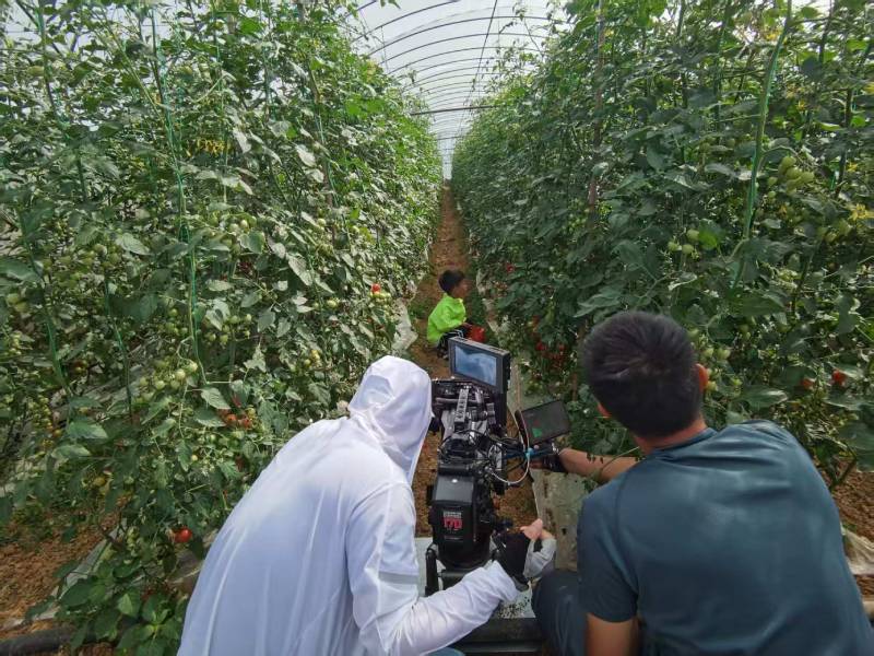 广昌县产品宣传视频拍摄公司进阶指南，助力品牌抢占传播高地